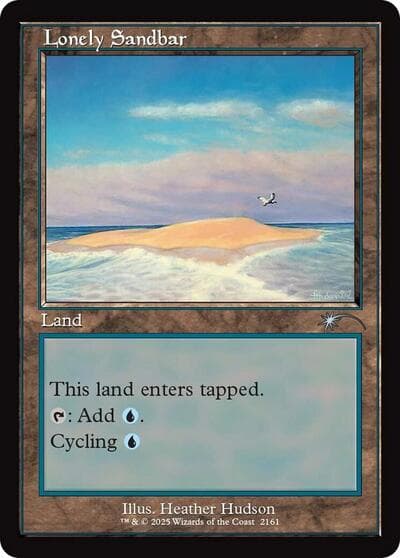 Lonely Sandbar (Retro Frame)