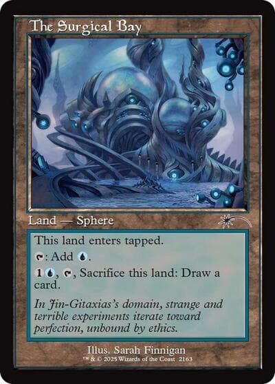 The Surgical Bay (Retro Frame)