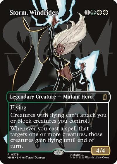 Storm, Windrider (Borderless)