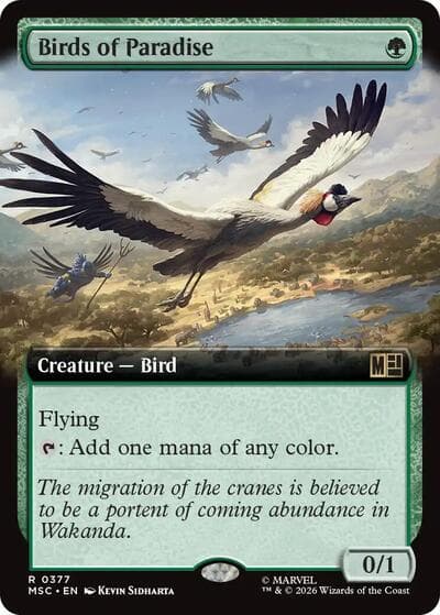 Birds of Paradise (Extended Art)